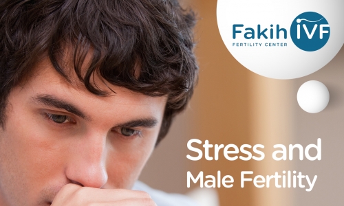 Stress and Male Fertility