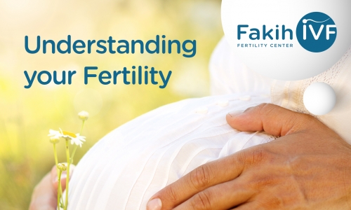 Understanding your Fertility