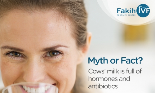 Myth or Fact? Cows’ milk is full of hormones and antibiotic