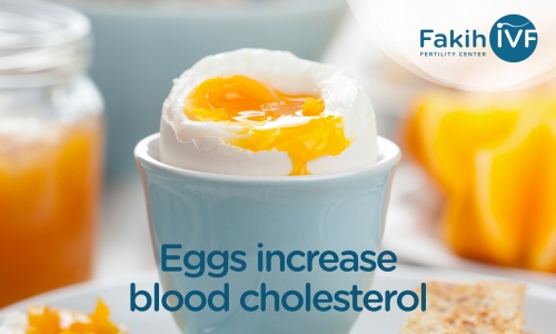 Eggs increase blood cholesterol