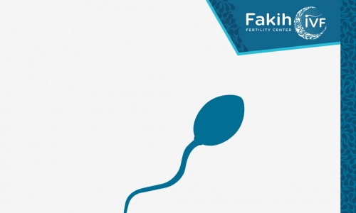 How will Fasting affect the quality of sperm?