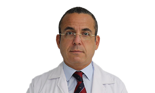 Fallopian Tubes and Fertility by Dr. Salem El Shawarby