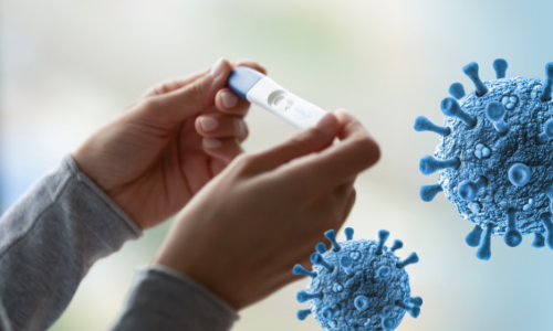 How Do Immune System Disorders Impact Fertility?