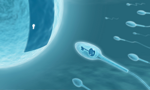 <strong>This Movember, discover treatments for male infertility</strong>